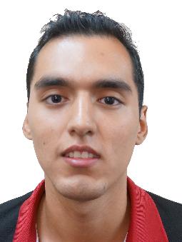 ROMAN ARAVENA Sebastian Patri