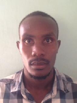 BINGI Daniel