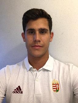 KARDOS Istvan Gergely