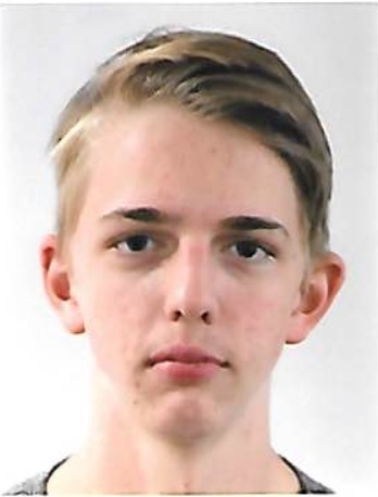 KEHL Lewis Daniel