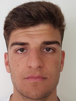 DOLCE Vincenzo